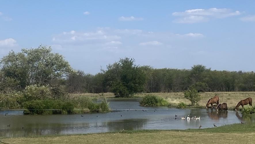 decampo_web_05