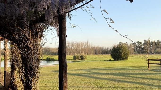 decampo_web_06