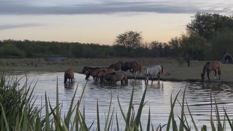 decampo_web_10